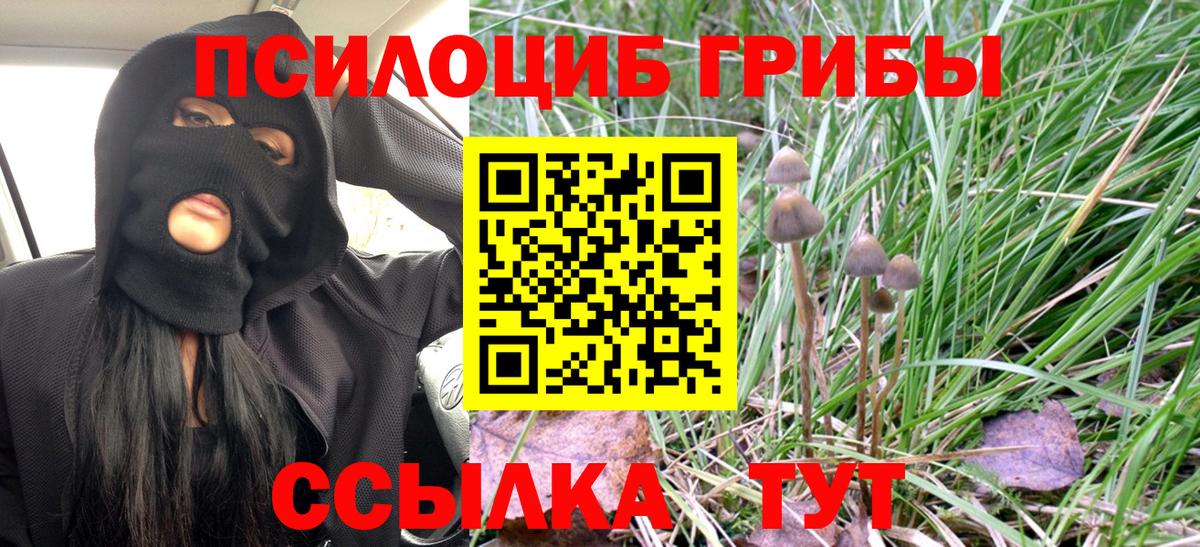 Новотроицк  Галлюциногенные грибы мухоморы  Вход с VPN  Галлюциногенные грибы мухоморы 