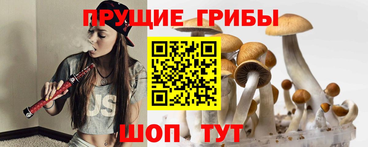 Галлюциногенные грибы Новотроицк